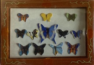 Butterfly Box PF