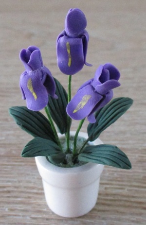 Purple Iris in White Pot FP-PFP