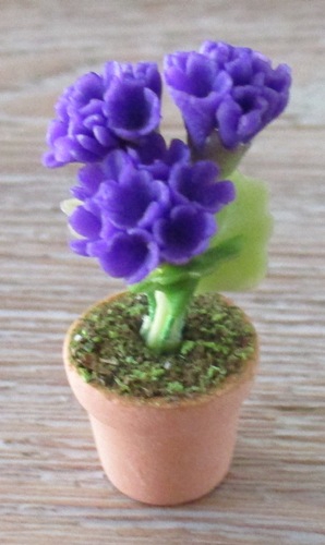 Purple Primula- in Terra Cotta FP-PFP