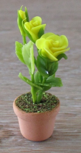 Yellow Rose in Terra Cotta FP-PFP