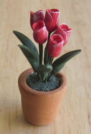 Red Tulips in Pot FP-PFP