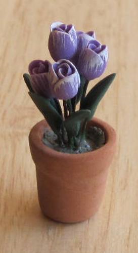 Purple Tulips in Terra Cotta Pot FP-PFP