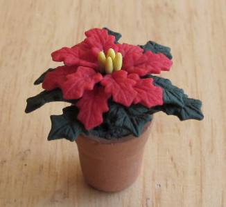 Poinsettia Plant FP-PFP