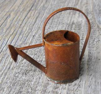 Rusty Watering Can GO-T