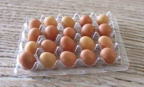 Eggs in Clear Carton  FD-EBP