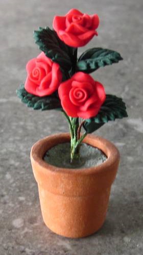 Red Roses- in Terra Cotta FP-PFP