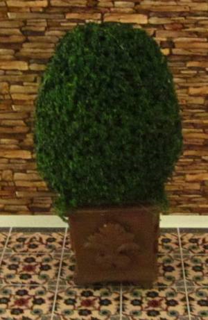 Topiary Planter Square Base GO-A