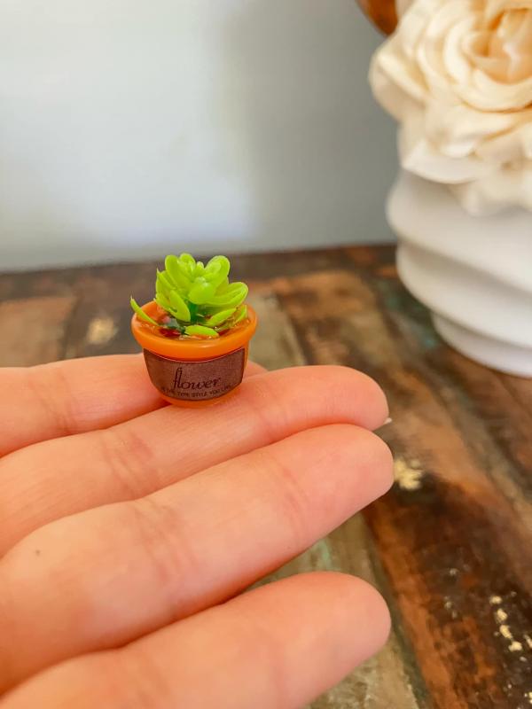 Plant in Faux Terracotta Pot