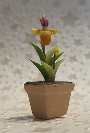 Orange and Pink Orchid in Terra Cotta FP-PFP