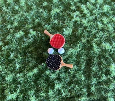 Ping Pong Ball and Paddle Set