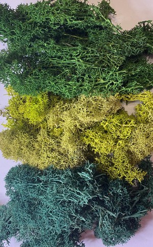 Scenery Moss Multi Green Pack 25 grams ASG
